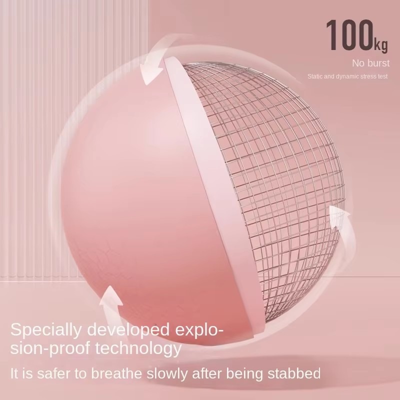 女性ジムヨガフィットネスボール肥厚タイプ防爆直径25センチメ - Pilates Ball Mini のレビューと価格